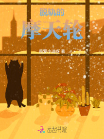摩天轮甩出人