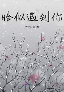 恰似遇到你小说免费阅读季君行