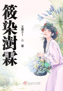 染筱萋的小说