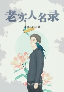 著名的老实人
