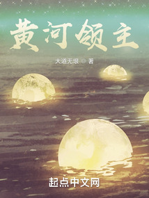 黄河领主免费阅读