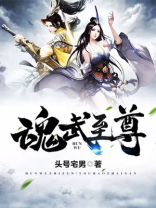 魂武至尊 唯我一疯