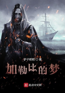 加勒比的梦 小说