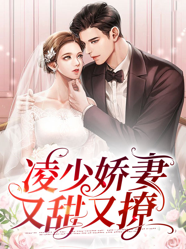 凌少宠妻无度全文阅读