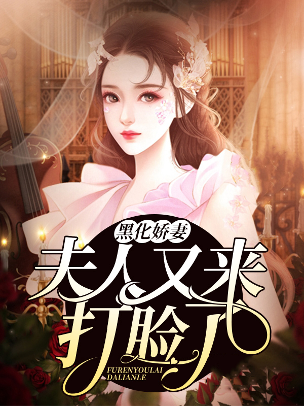 夫人又黑化了小说