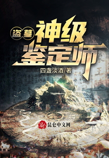 盗墓:神级鉴定师 小说