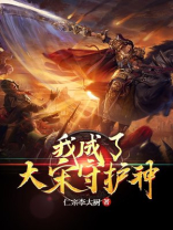 我成了大宋守护神小说