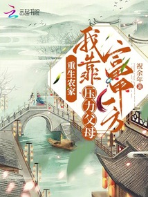 重生农家力气大的小说