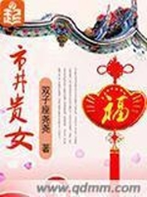 市井贵女 小说