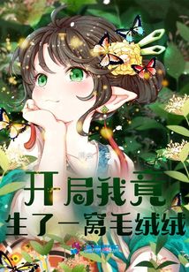 开局就生娃