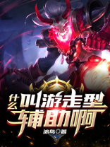 什么叫游走性辅助啊 冰鸟