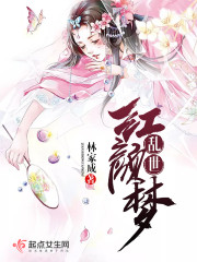 乱世红颜梦 林家成讲什么