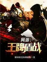 网游之王牌盾战小说