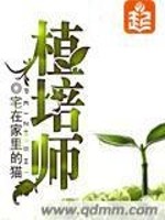 植培师穿越&修仙小说