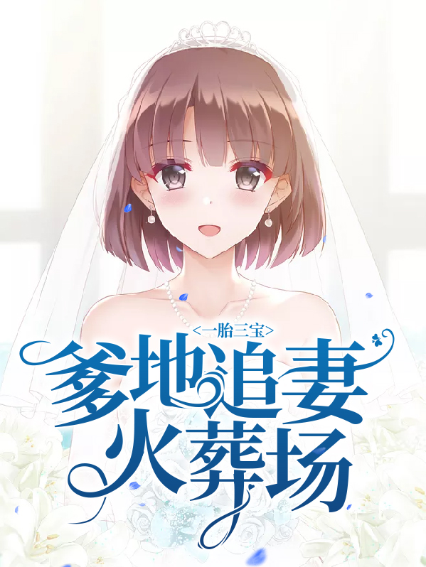 一胎三宝爹地宠妻