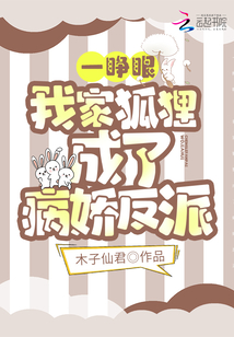 我家狐狸成精了