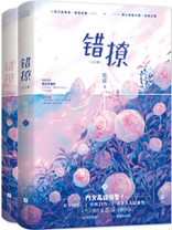 错撩大结局