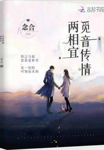 觅音传情两相宜小说