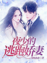 夜少的逃跑娇妻实体书