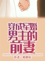 穿成军婚男主的前妻百度网盘