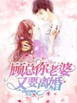 顾总你老婆又要离婚 免费阅读