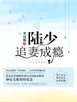 陆少追妻100天