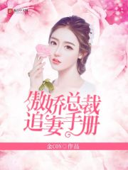 傲娇总裁追妻手册小说