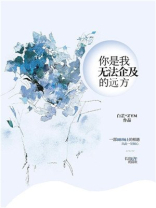 你是我无法企及的远方