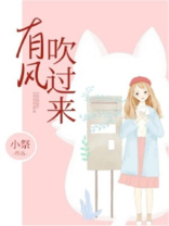 有风吹过来TXT