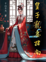 清穿 红楼皇子宠妻指南 小说