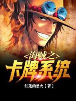 海贼之最强卡牌系统