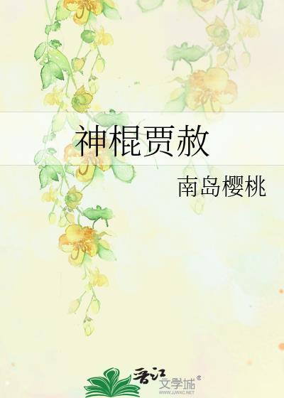 神棍贾赦百度网盘
