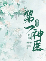 红楼林氏第一神医小说