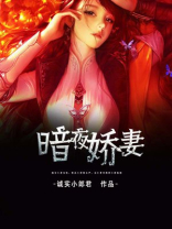暗夜娇妻
