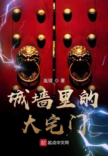 城墙里的大宅门.txt