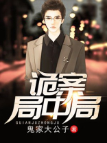 诡案局中局电子书