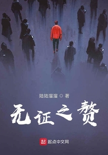 无证之罪小说笔趣阁