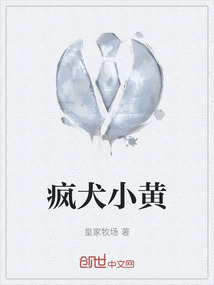 小黄狗是什么犬