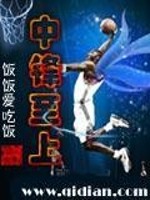 中锋至上 第86章