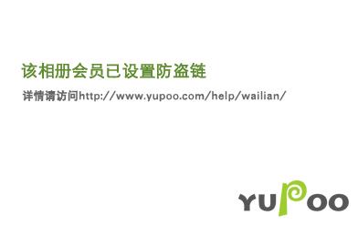 十九世纪不相信爱情 小说