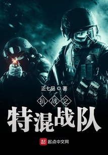 抗战之特混战队全文在线阅读