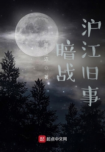 暗战沪江旧事小说