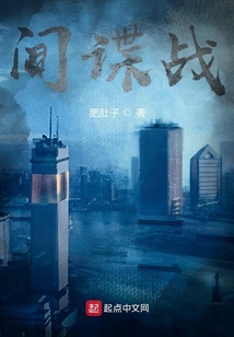 间谍战争小说