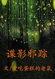 狐踪谍影电视剧