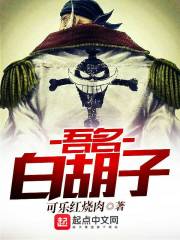 吾名白胡子火影全文免费阅读
