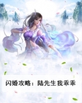 陆先生的闪婚