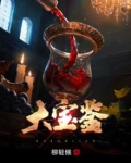 大宝鉴