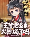 王爷他追妻火葬场了吗