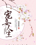 宠妾人生