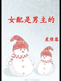 男配是女主的